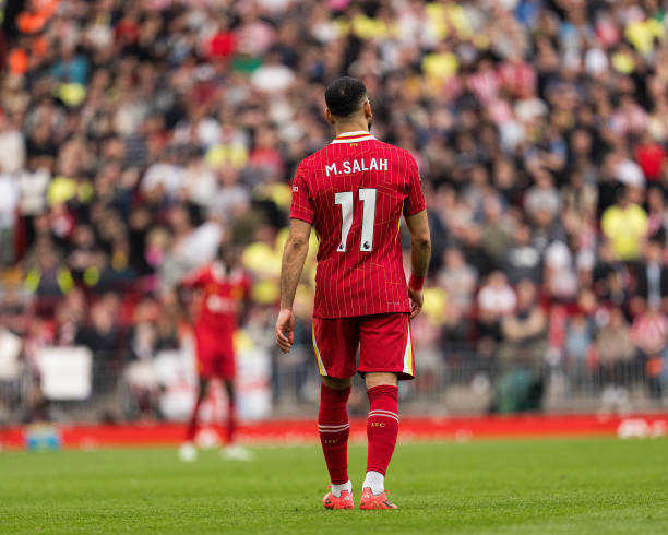 献的期待 献的期待